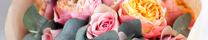 купить цветы Бразилия от Grand-flora